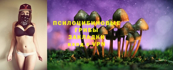 марки lsd Дмитриев
