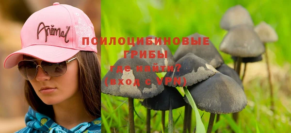прущая мука Дмитров