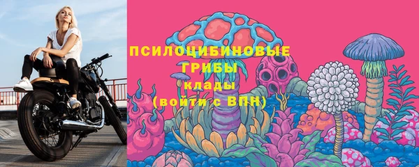 марки lsd Дмитриев