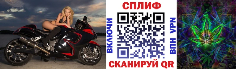 Бошки марихуана сатива Новая Ладога